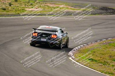 media/Feb-25-2024-Speed Ventures (Sun) [[b9a2a97a4d]]/Mustang Drivers Club/Session 1 (Turns 4 and 5)/